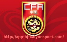 开云体育官网app下载-世俱杯比赛技术犯规案例分析及规则细节讲解